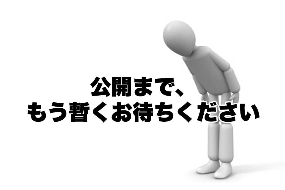 公開までもう暫くお待ちください